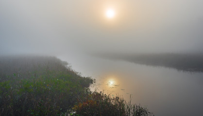 Brilliant & bright mid-summer sunrise on narrow passage of a lake.   Warm water & cooler air at daybreak create local misty fog.  Quiet water along marshy lakeside.