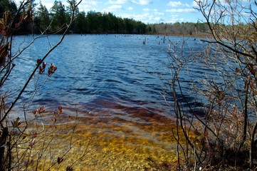 Cedar Creek at Double Trouble State Park, New Jersey 