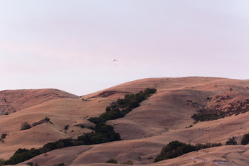 Naklejka premium A para sailer flies under a colorful sunset in the east bay area hills