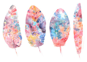 set of feathers, painted in watercolor and Liner, bright red col