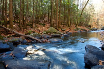 Waterfalls and Streams in the Fall at Hacklebarney Park