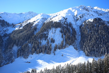 Winterlicher Landschaft bei Sonnenschein an einem steilen Hang