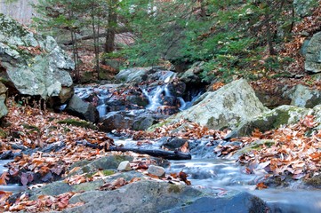 Water Falls and Streams at Hacklebarney State Park
