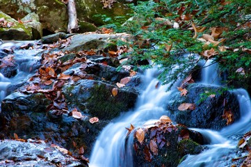 Fototapeta na wymiar Water Falls and Streams at Hacklebarney State Park