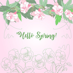 Spring background floral with pink pansies.