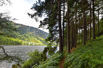 Irland - Wandern im Wicklow Mountains National Park