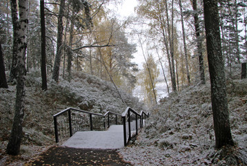 Stairs leading down to in siberian frosen wood