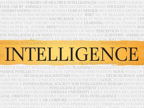 Intelligence