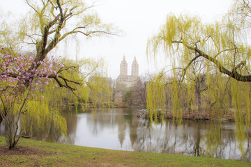 central park