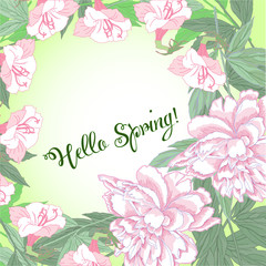 Fototapeta na wymiar Spring background with white and pink peony