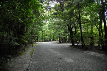 風情