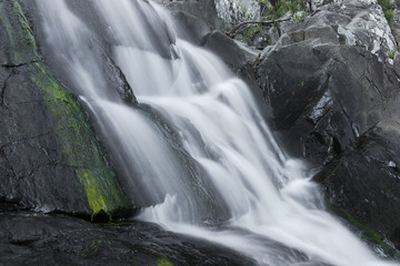 Fototapeta premium Cedar Creek waterfall in Mount Tambourine, Queensland.