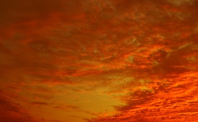夕焼けで染まる鱗雲