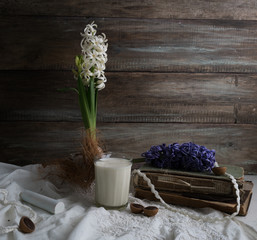 Still life with hyacinth, old books and glass of milk on a background of a rough wooden wall