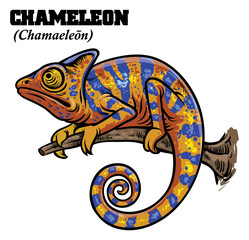 chameleon in hand drawing style