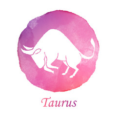 Color water symbol of bull to Taurus of zodiac and horoscope