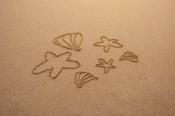 A drawing of starfishes and shells on brown sand. Vacation and travel to tropical sea beach concept.