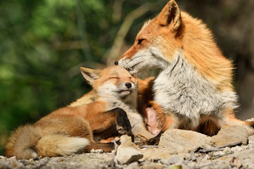 幸せなひととき