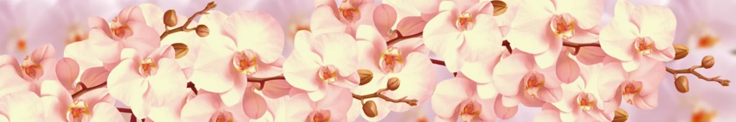 Deurstickers Orchidee bloemen © savojr
