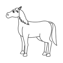 horse cartoon icon over white background. vector illustration