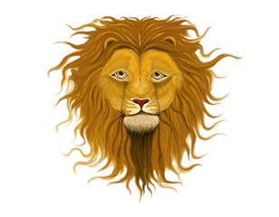 Lion with long wavy curls on the mane