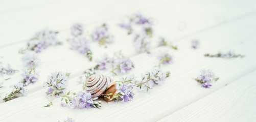 Летняя открытка ко дню рождения