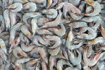 raw shrimps