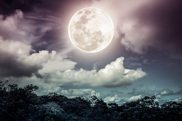 Naklejka na ściany i meble Silhouettes of tree and nighttime sky with clouds, bright full moon