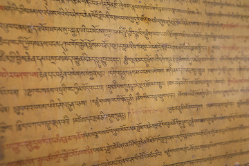 Tibetan Buddhist Prayers at Drepung Monastery Lhasa Tibet China