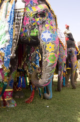 Fototapeta premium Colorful hand painted elephants, Holi festival, Jaipur, Rajasthan, India 