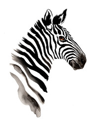 Watercolor zebra © berdsigns