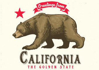 Naklejka premium greeting from california with brown bear