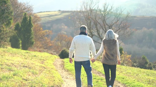 Senior couple walking in countryside on winter day