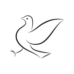 icon dove, vector