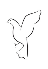 icon dove, vector