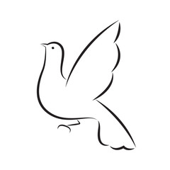 icon dove, vector
