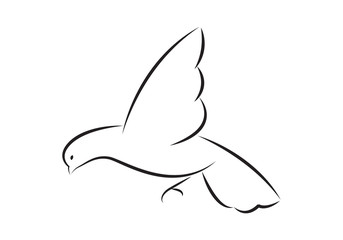 icon dove, vector