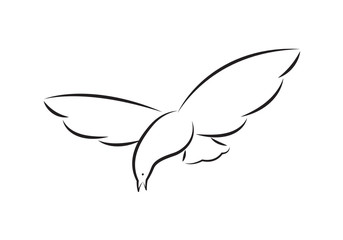 icon dove, vector