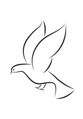 icon dove, vector