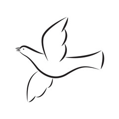 icon dove, vector