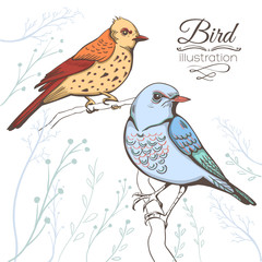 illustration of a bird. hand made background