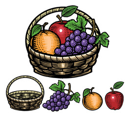 hand drawing style of fruits in the basket