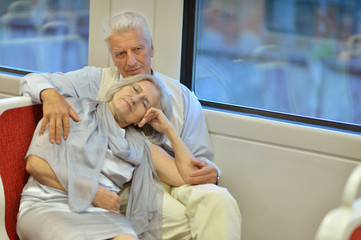 Senior couple in train