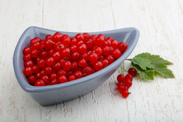 Red currants