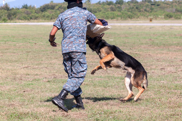 Soldiers from the K-9 dog unit