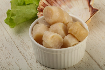Raw scallops heap