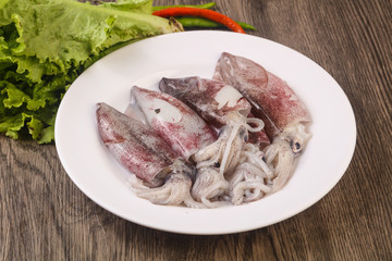 Raw squid