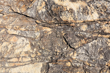 rocks