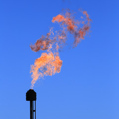burning torch