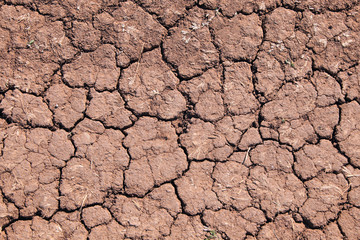 dry cracked earth